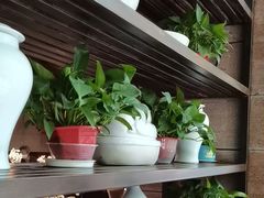 -金枝玉叶上海人家食府(三里河店)