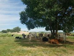 -塞罕坝国家级自然保护区