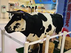 -红星前进面包牛奶公司(君太店)