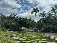 -中国科学院西双版纳热带植物园