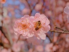 -小六汤包·老字号·中华名小吃(公园南路店)