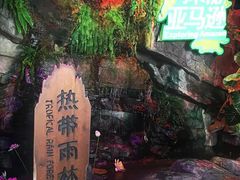 -蓬莱欧乐堡海洋极地世界