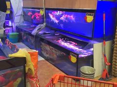 -大自然花鸟鱼虫市场