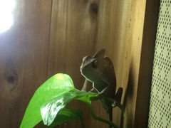 iphone_upload_pic-上海大自然野生昆虫馆