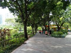 -晓港公园