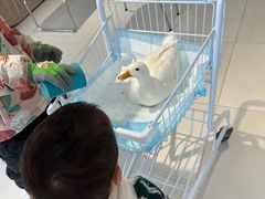 -怪兽屋·羊驼·猫咖·狗咖(俊华广场店)