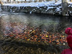 -水磨沟公园