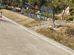 -聚龙山公园
