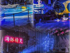 -海合安武汉极地海洋公园