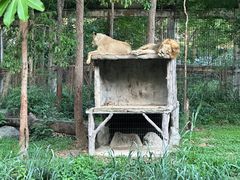 -清迈夜间动物园