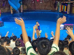 -烟台海昌鲸鲨海洋公园