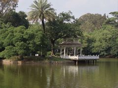 -大湾区中央湿地公园