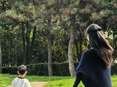 -洨河生态公园