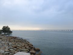 -宝安西湾红树林湿地公园