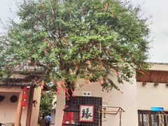 -国际非物质文化遗产博览园