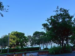 -ommo cafe(半岛城邦店)