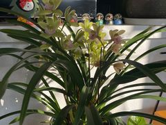 -LAB COFFEE来杯咖啡(浦仓路店)
