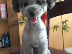 -惠康宠物医院(华能路店)