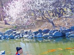 -圆明园遗址公园-藻园门售票处