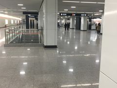 -杨高南路(地铁站)