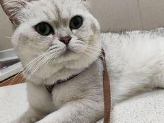 -安安宠医·臻爱宠物医院·宠保定点(营门口路分院)