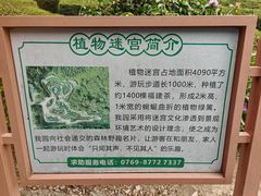 -大屏嶂森林公园