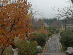 -济南国际园博园