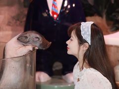 -正佳雨林生态植物园