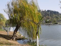 -月湖风景区