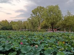 -渭滨公园