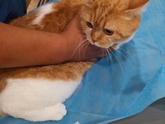 -萌兽医馆·犬猫专科·眼科中心·宠物医院(朝阳门分院)