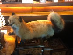 -杂咖zacup(领展中心城店)