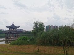 -飞来湖湿地公园