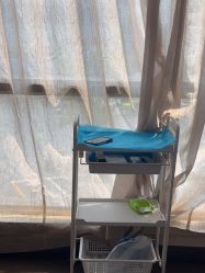 -上海玫瑰医疗美容医院