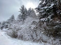 -太子岭滑雪场
