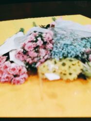 -千禧果月子会所(郑州东站店)