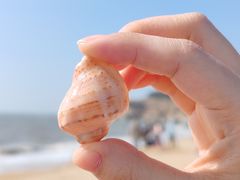 -辽宁团山国家级海洋公园