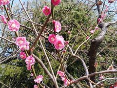 -白塘生态植物园