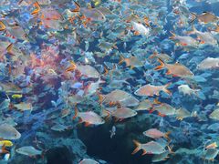 -成都浩海立方海洋公园