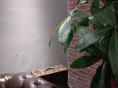 -新紫霞养生·影院足道·SPA(金山区店)