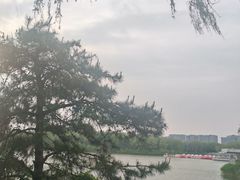 -大兴滨河森林公园