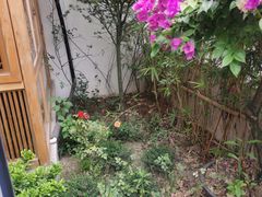 -成都蓝城悦杏温泉美食酒店(宽窄巷子店)