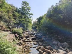 -广州白江湖森林公园