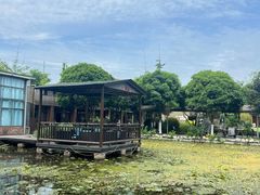 -洪湖家庭农场·团建·露营·会议