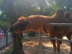 -广东茂名森林公园