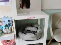 -全心全意连锁动物医院(加州店)