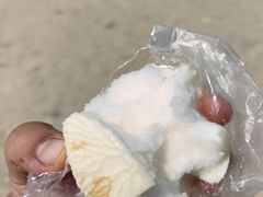 -东郊椰林