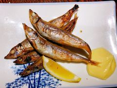 -桂马·日本料理·海胆·海鲜饭·酒场(民主广场店)