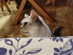 -不舍昼夜咖啡馆