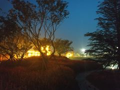 -羊亭河湿地公园